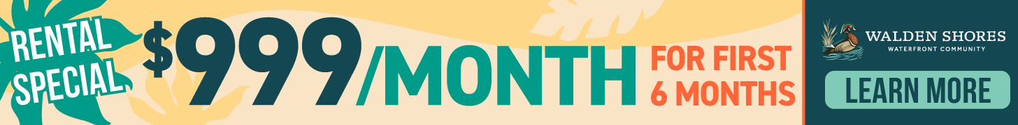 WS_Summer-Rental-Banner2_1456x180 (1)